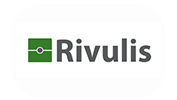 Rivulis